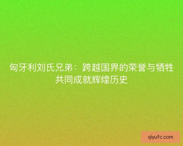 匈牙利刘氏兄弟：跨越国界的荣誉与牺牲共同成就辉煌历史
